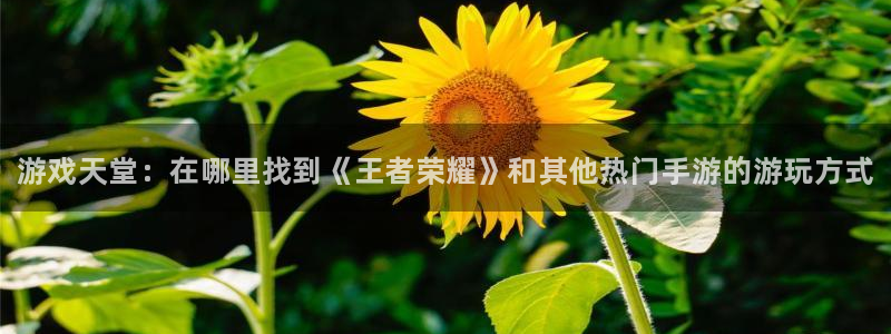 优贝娱乐登陆地址：游戏天堂：在哪里找到《王者荣耀》和其他热门