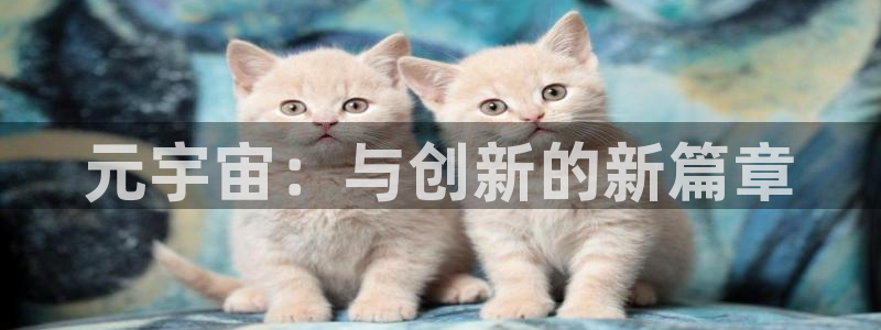 优贝娱乐注册服务条款：元宇宙：与创新的新篇章