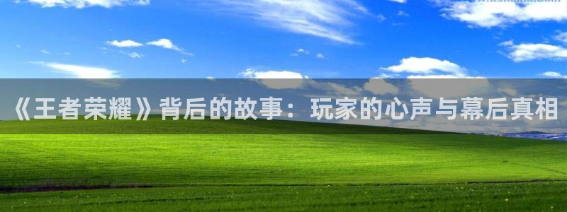 优贝娱乐线路测试：《王者荣耀》背后的故事：玩家的心声与幕后真