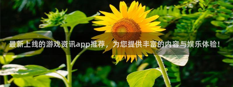 优贝娱乐注册地址：最新上线的游戏资讯app推荐，为您提供丰富