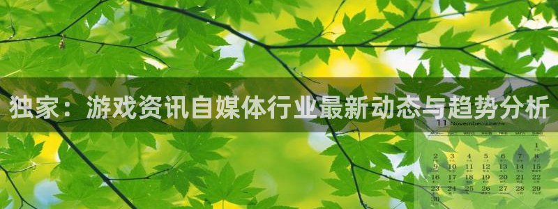 优贝娱乐平台登录入口：独家：游戏资讯自媒体行业最新动态与趋势