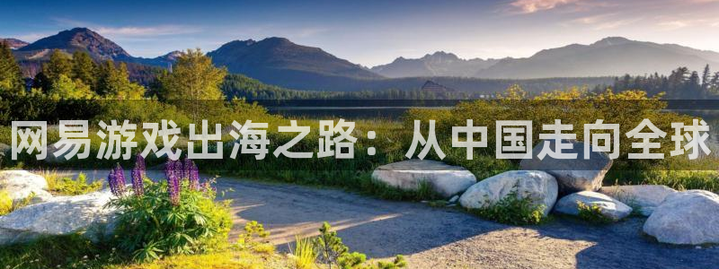 优贝娱乐注册平台：网易游戏出海之路：从中国走向全球